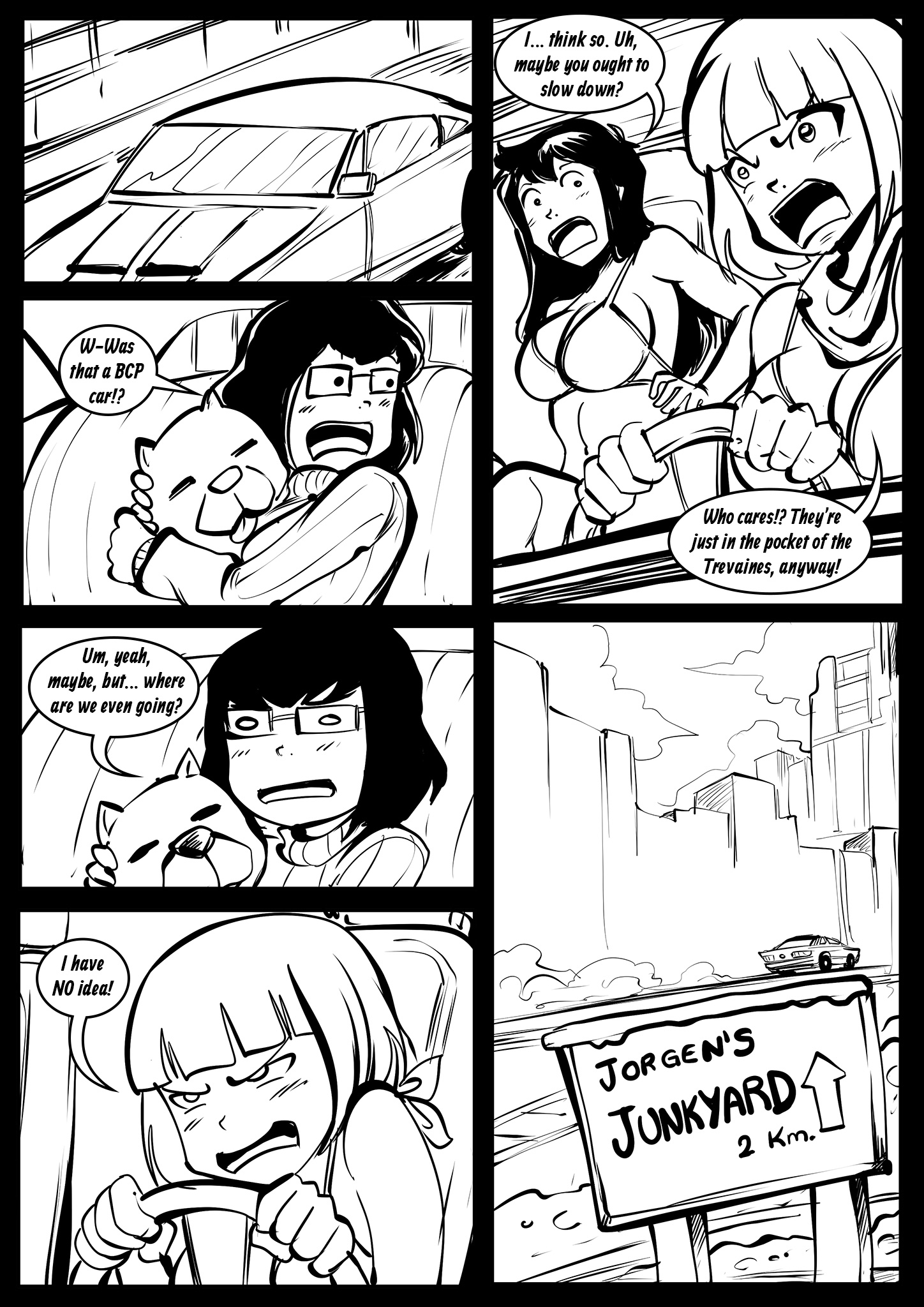 Chapter 3.06 – Page 13